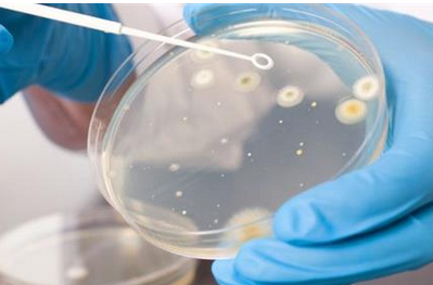 食品细菌微生物检测仪使用方法,细菌微生物检测仪介绍
